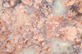 Polished Cotton Candy Agate Slab - Mexico #279632-1